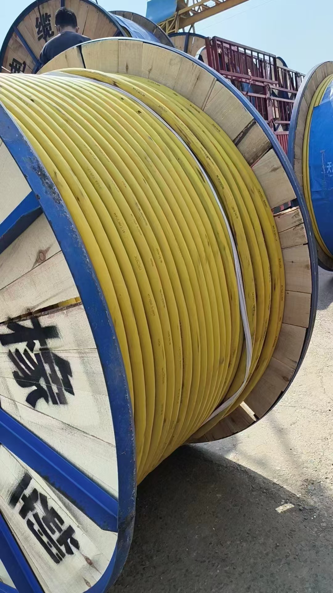 电力现货(电力现货市场基本规则)