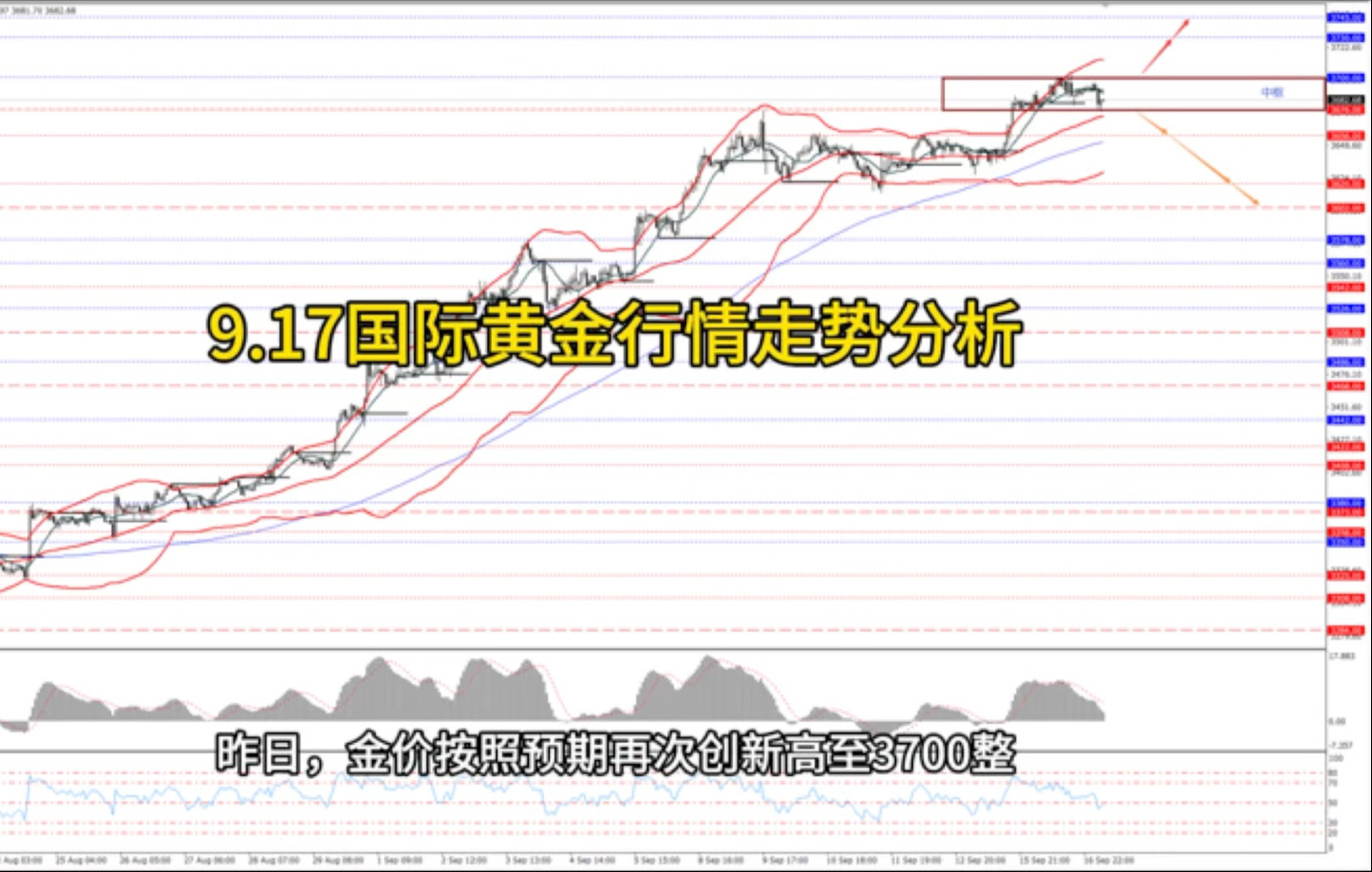 国内现货黄金行情(中国黄金今日金价官网)