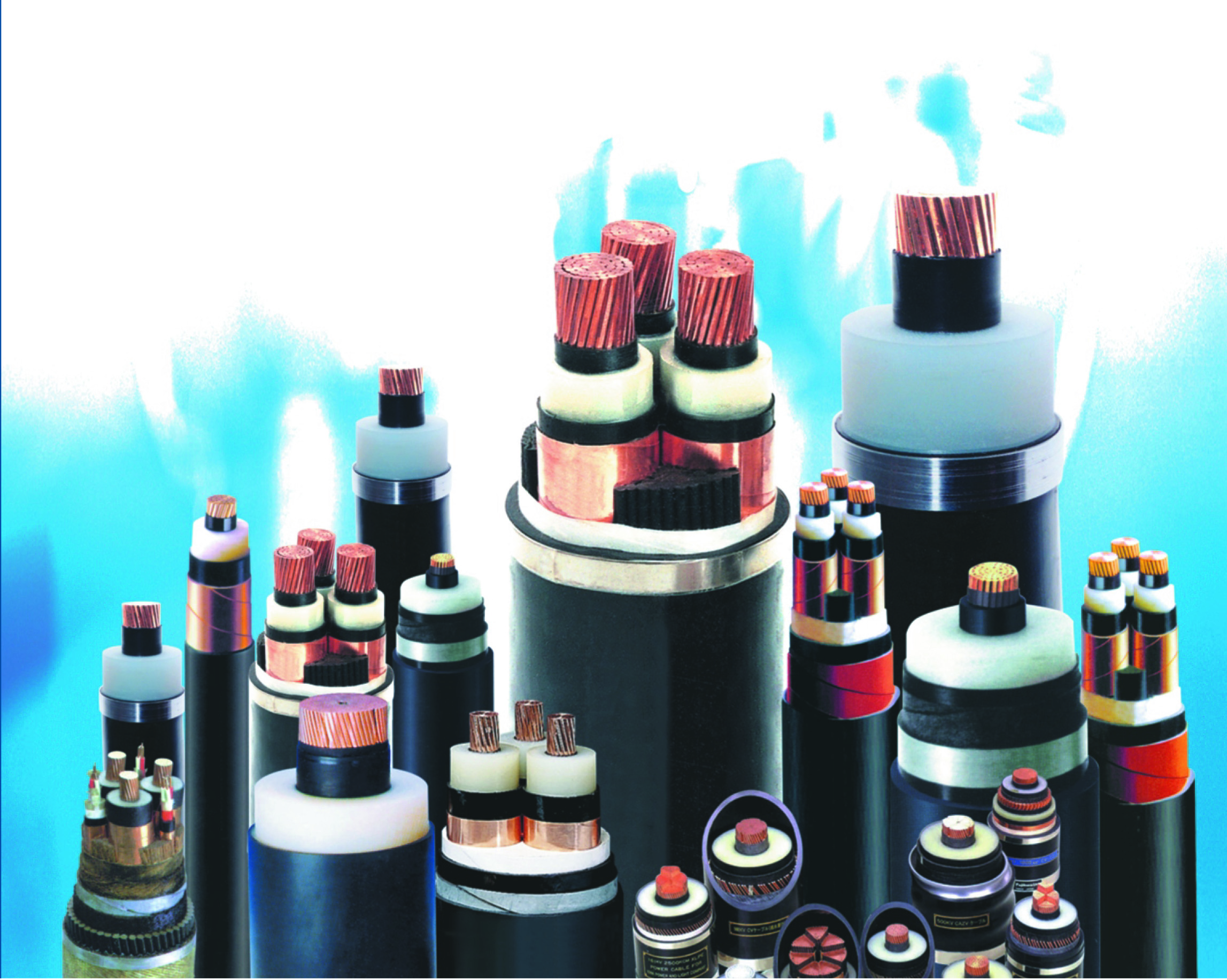 电力现货(国家电力现货市场)