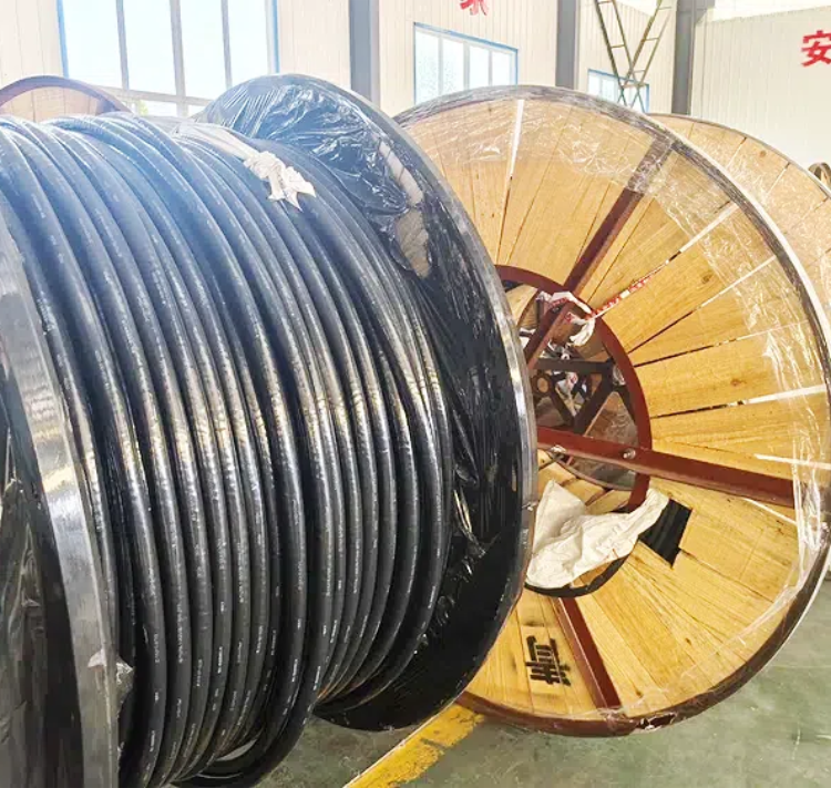 电力现货(国家电力现货市场)