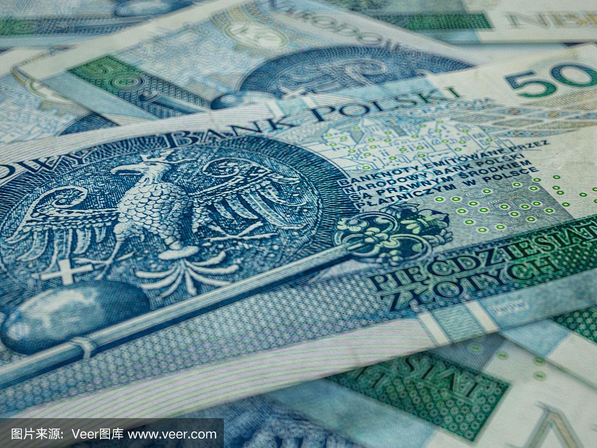 波兰货币(波兰货币叫什么)