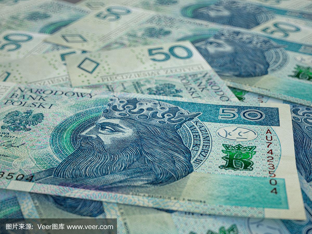 波兰货币(波兰货币兑换欧元)