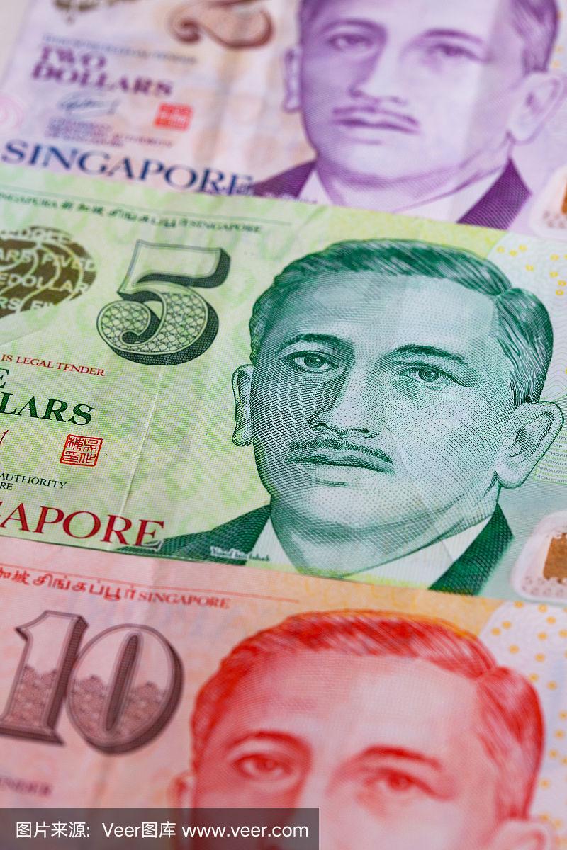 新加坡货币(新加坡货币图片)