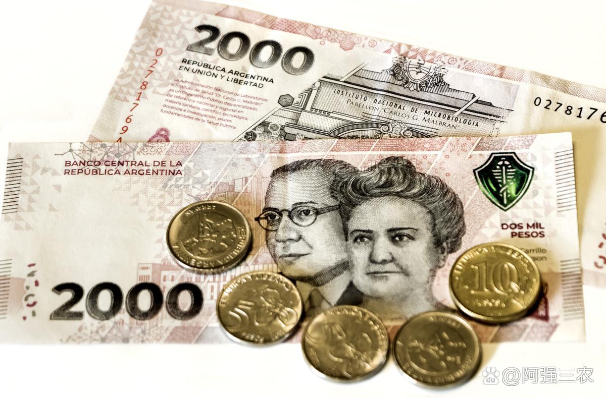 阿根廷货币(阿根廷货币汇率)
