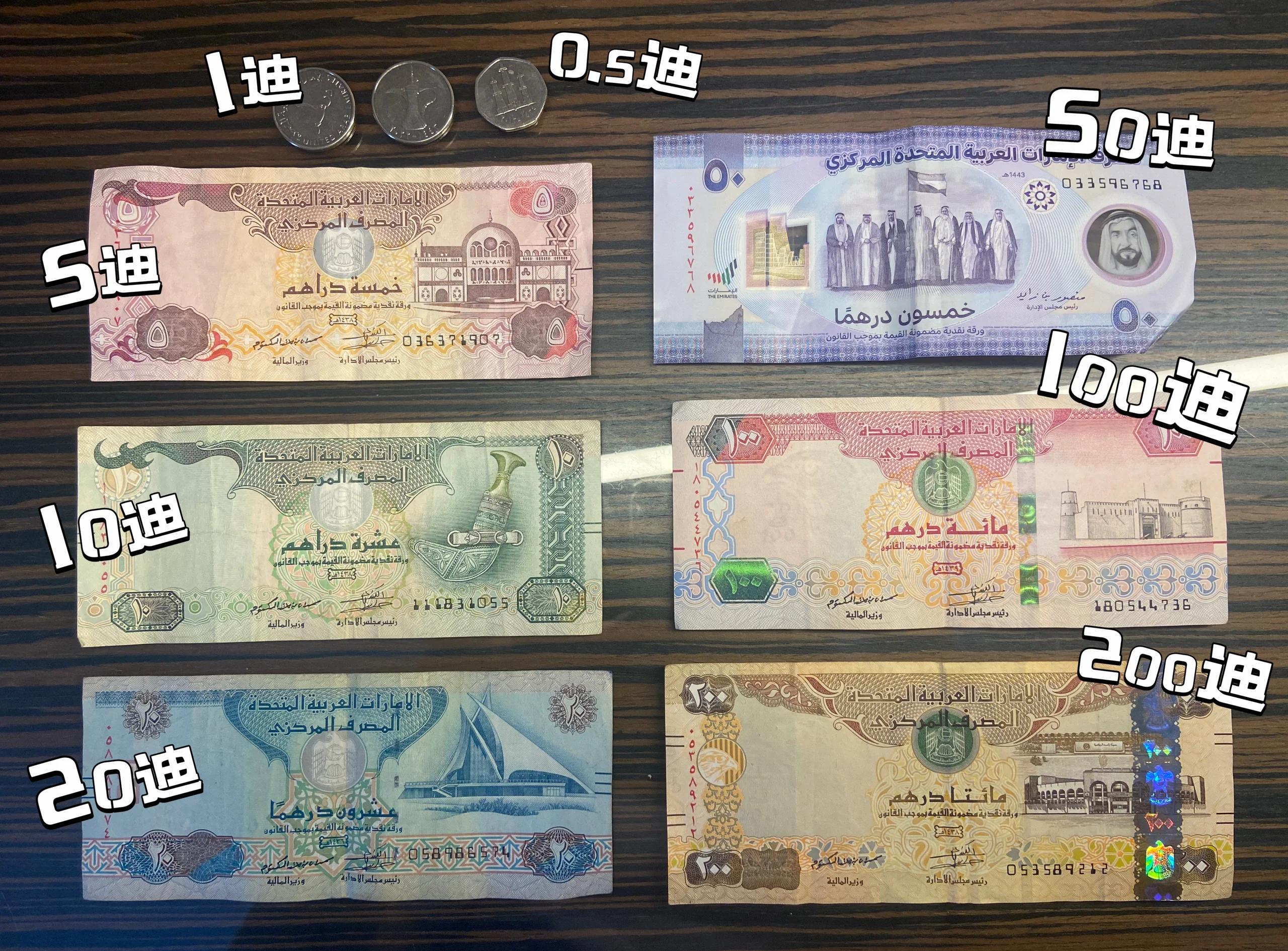 意大利用什么货币(意大利用什么货币欧元兑人民)