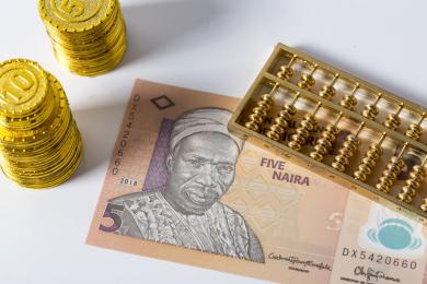 尼日利亚货币(尼日利亚货币图片)